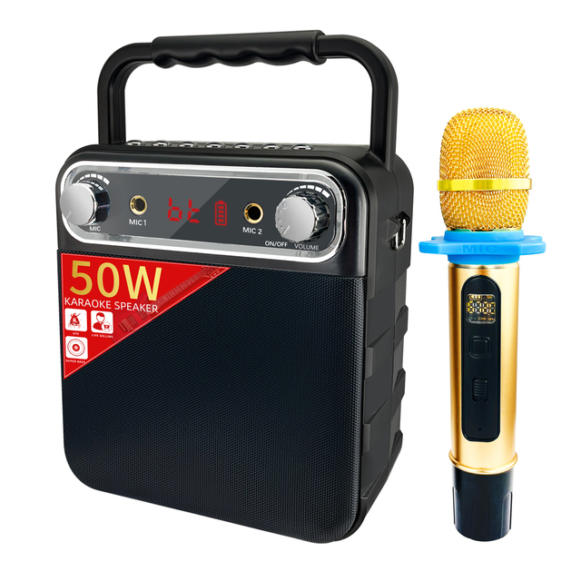 Dewant L-1228 50W Portable Outdoor BT Wireless Karaoke Speaker With Two Wireless Microphones for Karaoke