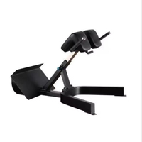 Banc de musculation commercial pliable à 45 degrés pour extensions dorsales, chaise romaine réglable, banc de presse, banc d'hyperextension et banc de redressements assis