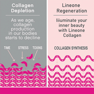 OEM ODM Maßgeschneidertes Hydrolysiertes Kollagen-Peptid-Pulver Unterstützt Haar-, Haut-, Nagel- und Gelenkgesundheit Nahrungsergänzungsmittel - Product Image 3