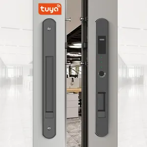 2023 desain baru jendela pintar aksesori perangkat keras aluminium kaca geser pintu sidik jari ramping kunci keamanan untuk Tuya App