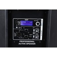 Module amplificateur DSP PV15 Active1000W 4 ohms en plastique, compatible avec un haut-parleur passif pour système audio extérieur