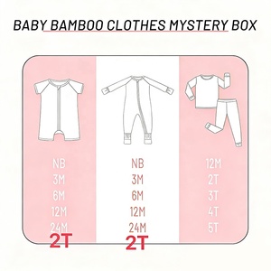 DH ODM bébé bambou Zippy boîte mystère fermeture éclair barboteuse Bundle Styles aléatoires prêt à expédier Logo personnalisé - Product Image 3
