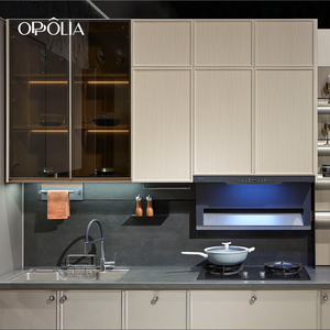 OPPOLIA E0 CE Armadietti Durevoli <span class=keywords><strong>con</strong></span> Vetrina, Design Personalizzato, Mobili da <span class=keywords><strong>Cucina</strong></span> <span class=keywords><strong>a</strong></span> Isola, Armadietto da <span class=keywords><strong>Cucina</strong></span> in Compensato e PVC - Product Image 2