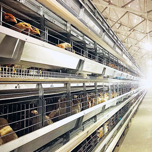 Tam otomatik 4 katlı H tipi tavuk kafesi 20000 katmanlı tavuk kafesi - Product Image 1