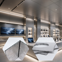 Panneau en nid d'abeille en aluminium insonorisant |   Mur de hall d'entrée et façade extérieure de centre commercial |   Revêtement intérieur-extérieur |   Échantillon gratuit disponible