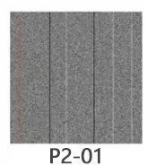 P2-01