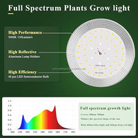 Ampoule LED à spectre complet 660nm 15W pour plantes 5000K Veg Seedling Flower Garden pour serre pour plantes d'intérieur