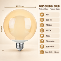 Usine directe nouveau Design double ampoule verre clair givré G40 G125 lampe à LED 120V E26 sans scintillement verre fumé ampoule en verre ambré