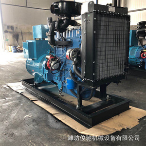 Groupe électrogène diesel Weifang 40 kW avec télécommande pour fermes d'élevage et stations de ski, alimentation de secours - Product Image 2