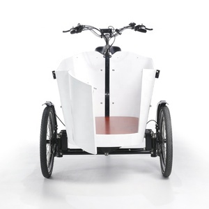 <span class=keywords><strong>Velomobile</strong></span> Trike Electric Cargo Bike 250W motor triciclos eléctricos con puerta - Product Image 1