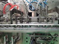 Machine d'emballage horizontale préfabriquée pour sachets duplex 60-80 ppm, remplisseuse et scelleuse de sachets à bec verseur