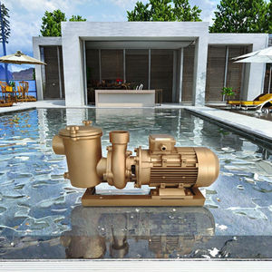 <span class=keywords><strong>Pompe</strong></span> de <span class=keywords><strong>piscine</strong></span> en laiton pleine puissance de 3 CV, grand débit, circulation d'eau salée pour <span class=keywords><strong>piscine</strong></span>, système de filtration en terre et en <span class=keywords><strong>piscine</strong></span>, <span class=keywords><strong>pompe</strong></span> anticorrosion - Product Image 2