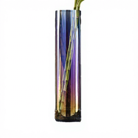 Grand vase transparent Monstera Column Water Bamboo de 50 cm de haut, arrangement floral suspendu coloré, style luxe léger pour entreprise