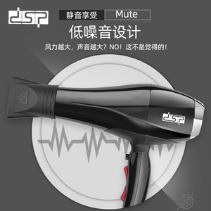 Dsp Salon Hair <b>Dryer</b> Ac Motor Ionic Drying Professional Hair Care - Product Image 2