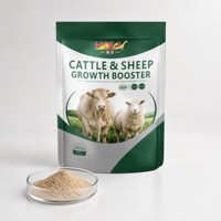 Promoteur de croissance spécial pour l'engraissement des moutons, des chèvres et des agneaux, prémélange de vitamines pour le bétail, booster de croissance rapide