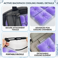Sac à dos personnalisé grand format 26*22.5cm avec coussin de gel PCM pour sacs à dos, pack de glace réutilisable pour un refroidissement longue durée, idéal pour les voyages et les sièges de voiture