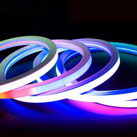 Maxtor LDE Bande lumineuse néon colorée en silicone 1212 2020 Bande lumineuse d'ambiance néon extrudée moulée monobloc