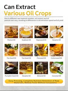 Presse à huile de 10 tonnes par jour, machine à presser l'huile à chaud et à froid, moulin à huile de noix de coco automatique à vendre au Sri Lanka - Product Image 6