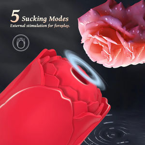 Stimolatore Clitorideo a Rosa, Ovulo Vibrante a Doppia Stimolazione, Potente Vibratore a Succhiamento per Donne, Ricarica USB, Giocattoli Sessuali per Adulti in Silicone - Product Image 3