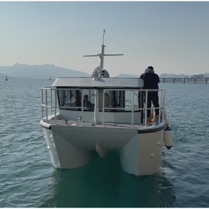 Bateau à moteur à double coque en aluminium entièrement soudé de 11 m (36 pieds) pour la pêche et les loisirs, type catamaran, avec passerelle latérale - Product Image 4