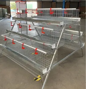 Brand new automatic chickens breeders cage chicken bettery cages used laying hens for wholesales