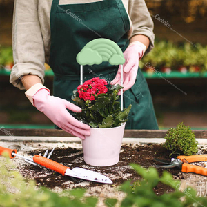 Système d'irrigation automatique décoratif arc-en-ciel à auto-arrosage pour jardin, outils pratiques, vente chaude Tik Tok - Product Image 5