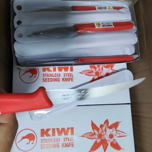 Couteau à fruits DF13 KIWI-fruits en acier inoxydable pour le camping - Product Image 3