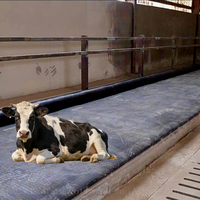 Matelas en caoutchouc pour vaches, durable, antidérapant, pour l'élevage laitier, litière pour bétail, matelas de repos imperméable pour bovins