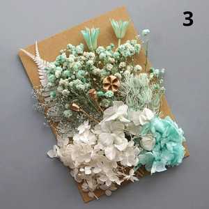 2025 nuovo fai da te conservato materiale fiore essiccato imballaggio <span class=keywords><strong>Bouquet</strong></span> De Fleurs Boho decorazione <span class=keywords><strong>Bouquet</strong></span> accessori fiore eterno - Product Image 4