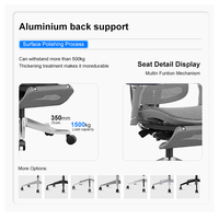Chaise de bureau ergonomique avec soutien lombaire réglable, dossier en maille, accoudoirs 4D en PU, appui-tête en U 4D, fonction pivotante
