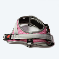 Chien chiot animal de compagnie harnais réglable gilet fournitures pour animaux de compagnie accessoires pour chiens respirant chien gilet de sécurité harnais de poitrine
