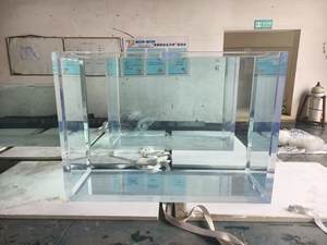 2024 fabricante de acrílico para acuario acrílico Túnel de pecera acrílica - Product Image 5