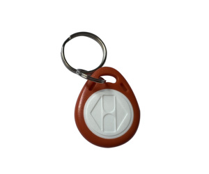 <span class=keywords><strong>Pas</strong></span> <span class=keywords><strong>cher</strong></span> prix vierge T5577 <span class=keywords><strong>copie</strong></span> porte-clés 125khz 13.56MHZ porte-clés personnalisé appartement porte RFID carte NFC RFID porte-clés rfid porte-clés - Product Image 4