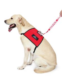 เสื้อกั๊กสุนัขแบบมีสายรัดสำหรับสัตว์เลี้ยงปรับได้,ที่รัดสุนัขแบบนิ่มและสวมใส่สบายปรับได้ไม่มีการดึงรองรับการปรับแต่งบริการตามความต้องการ - Product Image 6