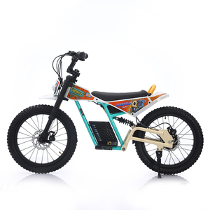 Motocicleta Eléctrica para Niños de Diseño Innovador, Bicicleta de Equilibrio 4 en 1, Marco de Madera, Motor de 250W, Estable y Segura con Arnés de 3 Puntos - Product Image 6