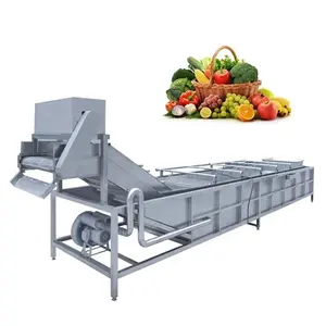 High Quality leafy Vegetable Bubble Washing Machine Automatic Fruit Cleaning Machine