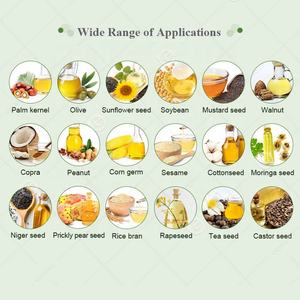Zonnebloem Kokosnoot Mini Vis Modulaire Kopra Olie Raffinaderij Industrie Machine Voor Olie - Product Image 3