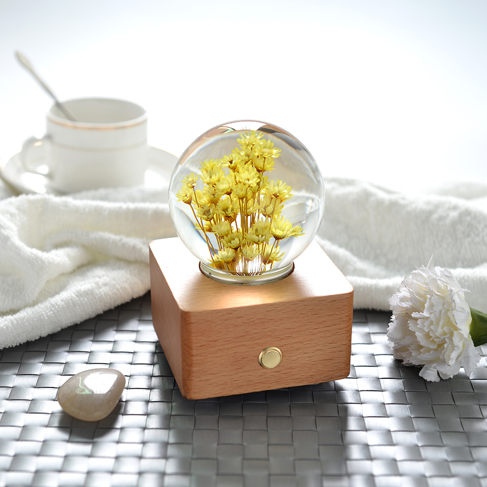 Little Chrysanthemum