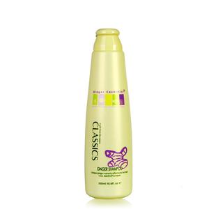 Hete Verkoop Oem Merknaam Gember Klasse Anti Haaruitval Shampoo Oplossen Haaruitval Probleem - Product Image 3