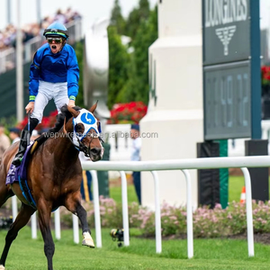 Bên ngoài cưỡi Arena Trắng nhựa ngựa paddock hàng rào Ngựa chạy hàng rào DIY ngựa Arena paddock hàng rào - Product Image 1