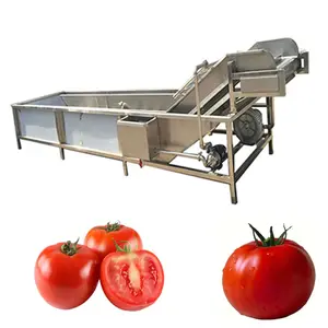 Popular High Productivity vegetable cleaning machine fruit washer