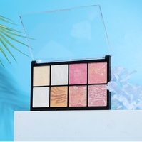 TY Prix de gros Vendeur Maquillage Personnalisé Longue Durée Vegan Haute Qualité Shimmer Waterproof Surligneur Palette