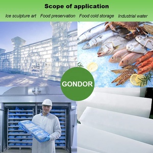 Evaporador <span class=keywords><strong>container</strong></span> 5 3 tấn 500 kg 1 bộ <span class=keywords><strong>Ice</strong></span> Block máy nhà máy bán cho trong Ghana Philippines mỗi ngày - Product Image 6