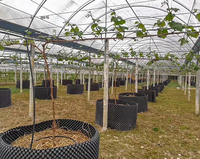 Cultiver des plantes en rouleau Base de racine Blanc/Noir Bonsaï Jardinière Pot d'élagage à air