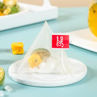 Mélange d'agrumes lyophilisés : Citron, Orange Verte, Fruit de la Passion – Thé Détox Minceur Vitaminé – Sachets de Thé Naturel et Sain (Qualité Supérieure en Vrac)