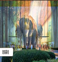 Mur holographique Muxwave à haute transparence pour intérieur, idéal pour les halls d'entrée