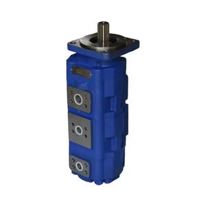 Zoomlion Grue à roues Pompe hydraulique Pompe à engrenages Production par 1010000239 & 1010000238 Usine en fonte - Product Image 6