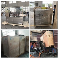 Fabricantes Línea de producción de equipo de máquina de llenado de viales de vacunación avícola