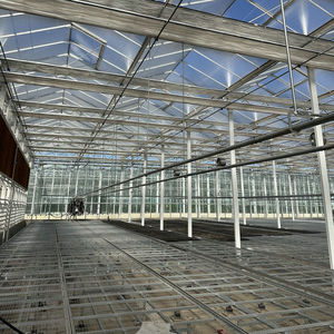 Nouvelle serre en verre de Venlo pour la plantation de fraises bleues et la culture de semences - Product Image 4
