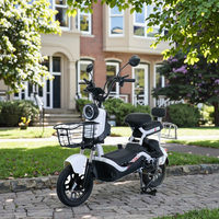 Nouveau Scooter Électrique de Chine Type 2 Places 48V 350W, Vélo de Ville Électrique, Vélo Électrique avec Batterie